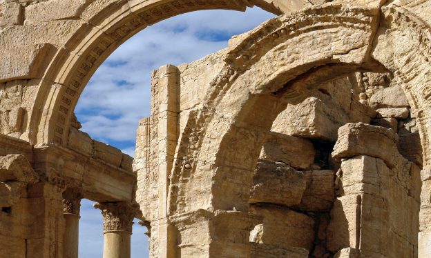 palmyra thumb